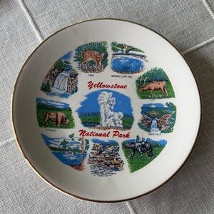 Vintage Souvenoir Yellowstone Plate